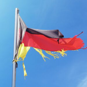 Spaltpilz AfD