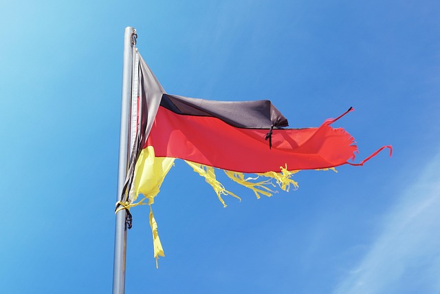Spaltpilz AfD