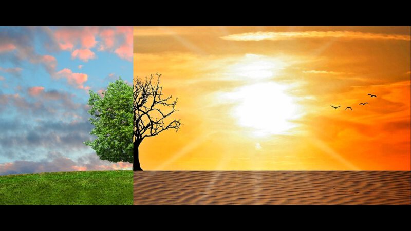 Transformation in Trouble II
