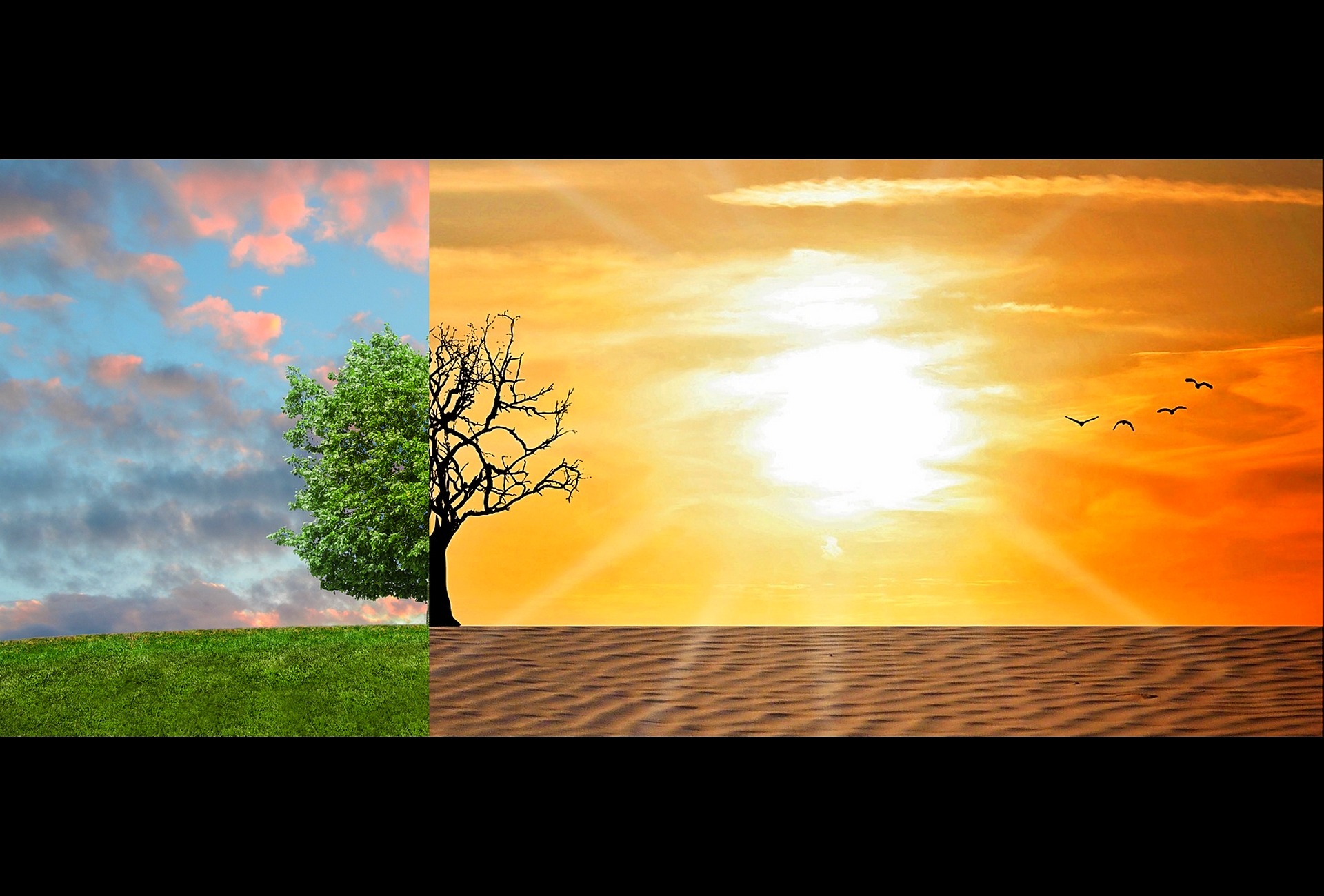 Transformation in Trouble II