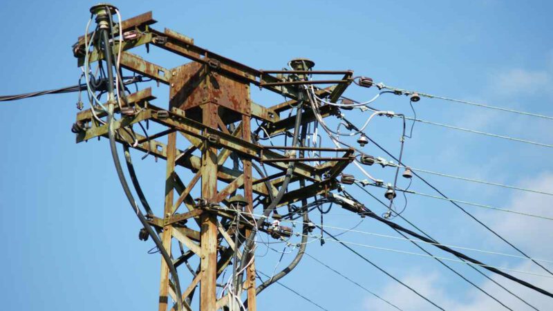 Saboteurin einer raschen  Energiewende